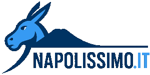 Napolissimo.it