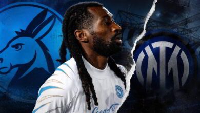 Anguissa inter mercato