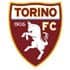 Torino Logo