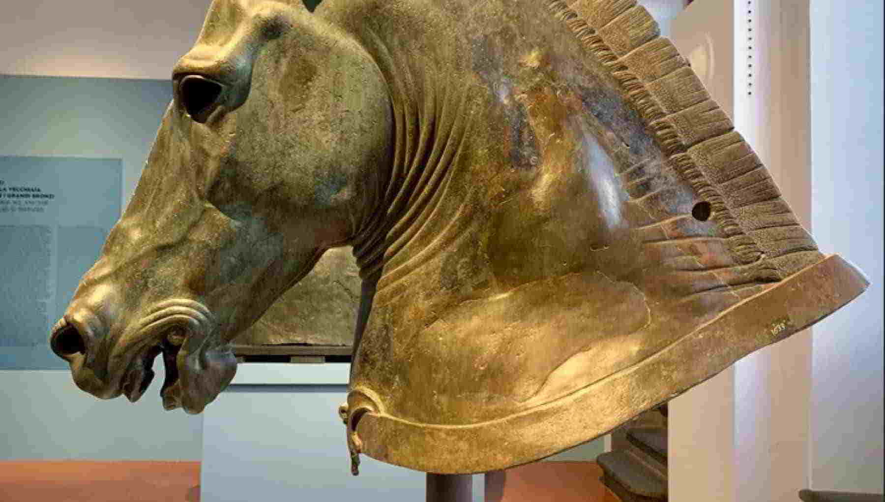 Protome Carafa nel Museo Archeologico Nazionale di Napoli, legate alla storia del simbolo del Napoli Protome Carafa nel Museo Archeologico Nazionale di Napoli, legate alla storia del simbolo del Napoli